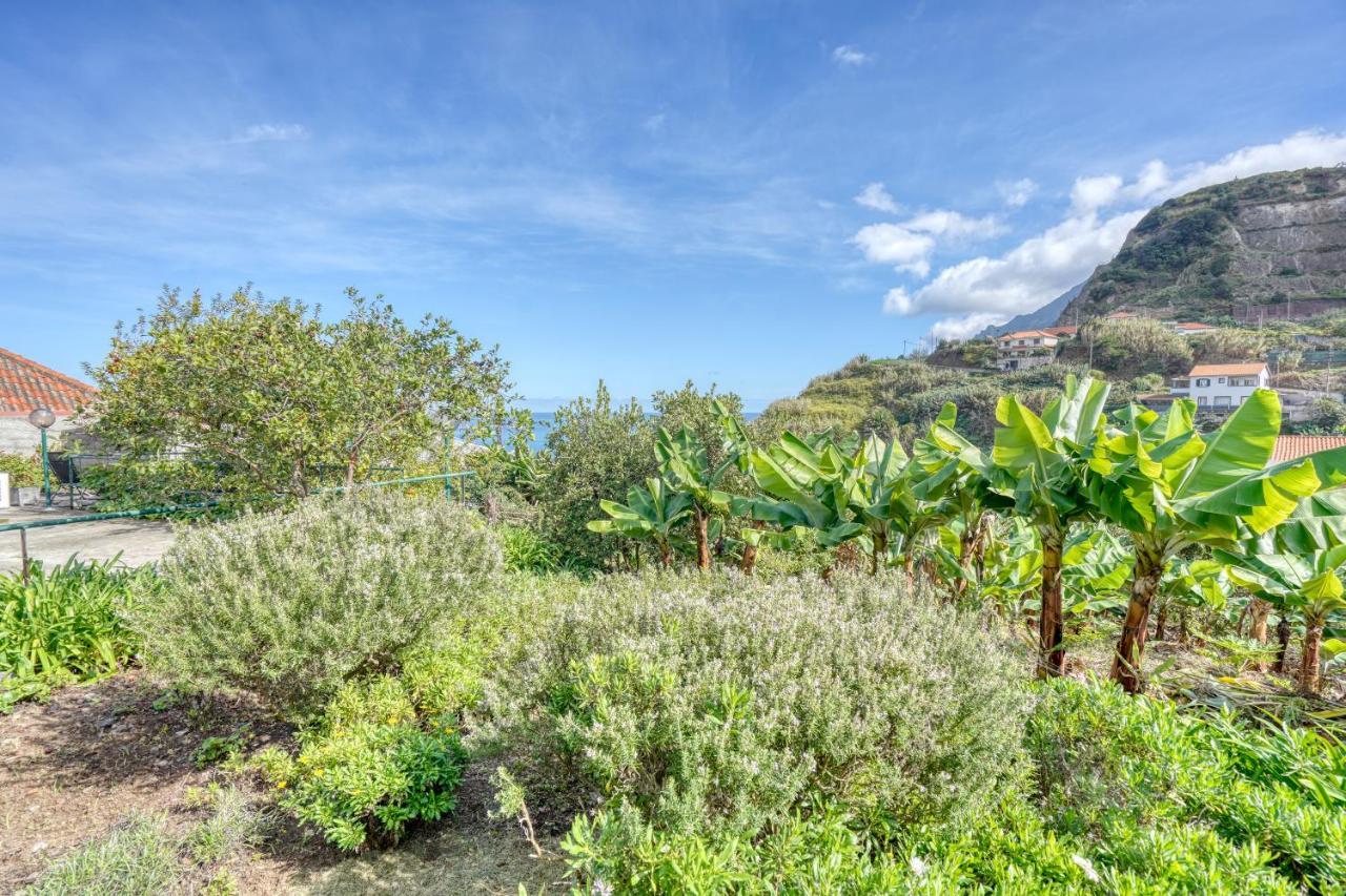 Quinta Da Vila Porto Da Cruz Εξωτερικό φωτογραφία