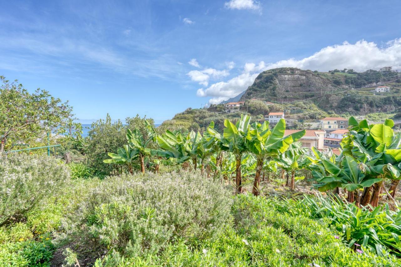 Quinta Da Vila Porto Da Cruz Εξωτερικό φωτογραφία